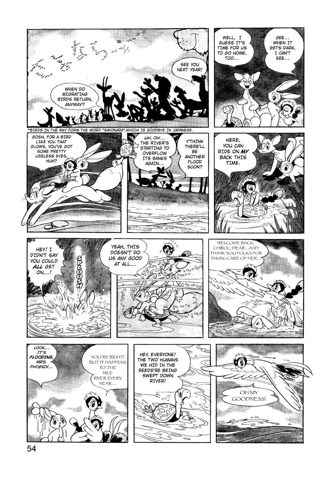 Page 55