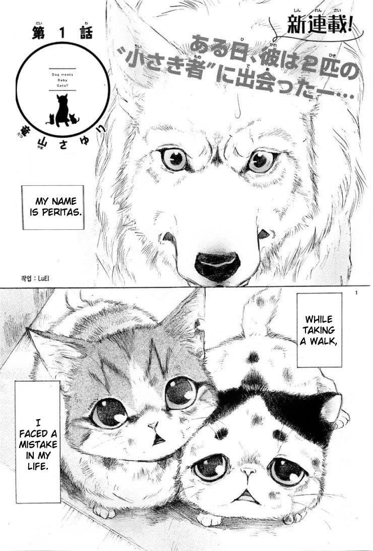 Dog Meets Baby Cats